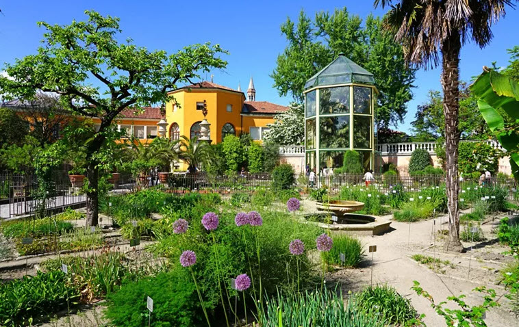 University of Padua Botanical Garden, Padua, Italy, Italy
